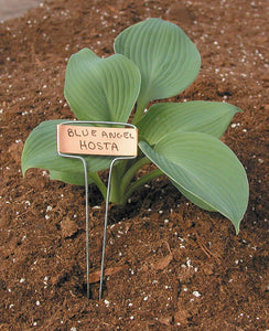 Luster Leaf 781 Classic Impressions 10-Inch Copper Garden Plant Label, 10-Pack