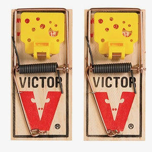 Victor EZ set mouse trap (Pack of 200)