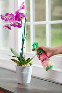 Miracle-Gro FBA_100195 Plant Food Mist (Orchid Fertilizer) 8 oz, Single, Multicolor