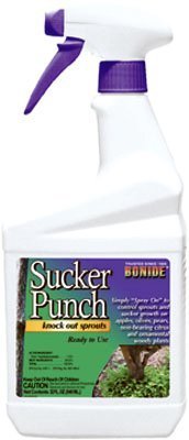 Bonide Sucker Punch Liquid 16 Oz